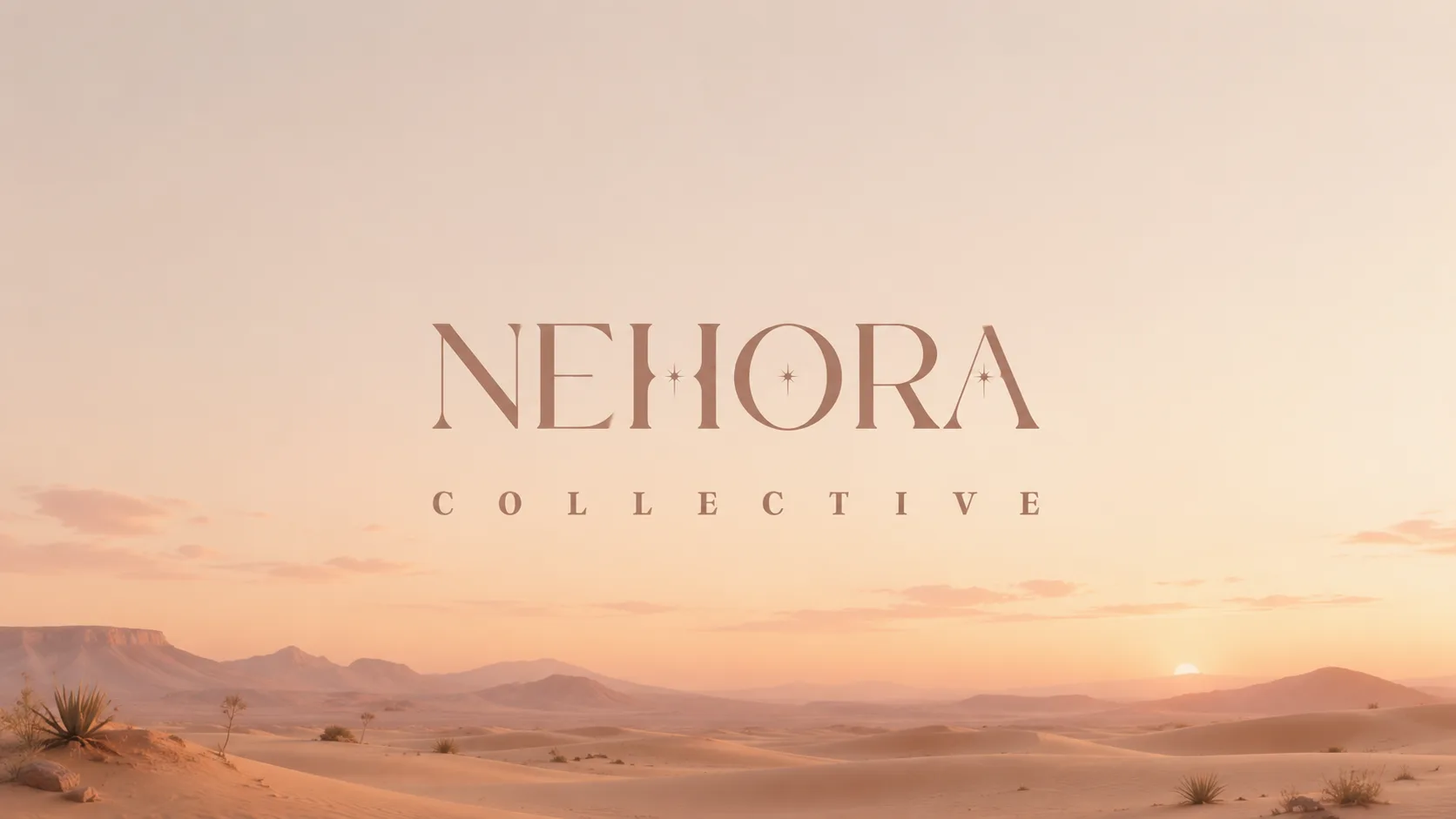 Nehora Collective